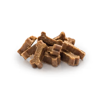 Essential Salmon Mini Delights