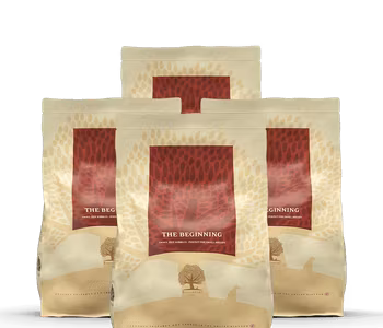 The Beginning - Small breed