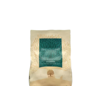 Stamina
