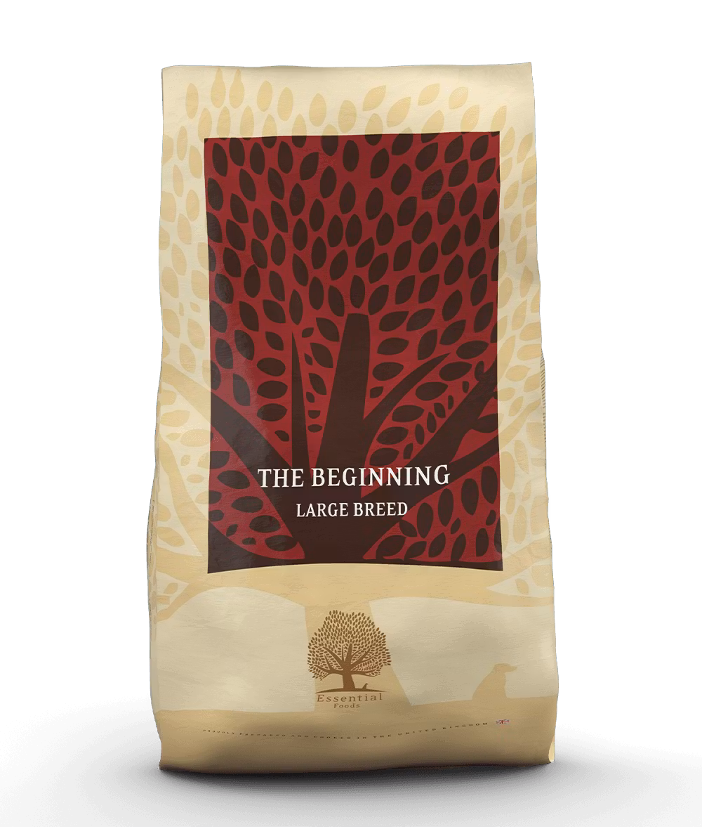 The Beginning - Large Breed