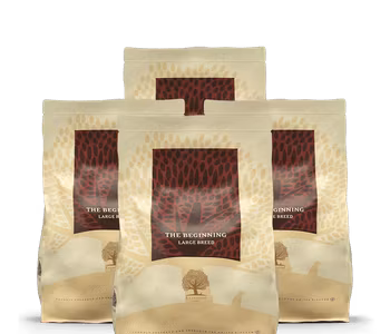 The Beginning - Large Breed