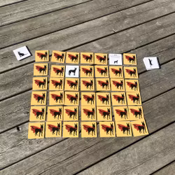 Superhjältememory - Lär dig hundspråk på ett roligt sett