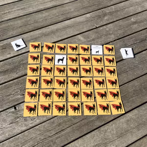 Superhjältememory - Lär dig hundspråk på ett roligt sätt