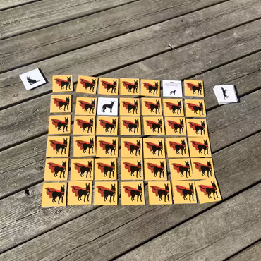 Superhjältememory - Lär dig hundspråk på ett roligt sätt