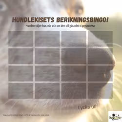 Berikningsbingo - Blandade former