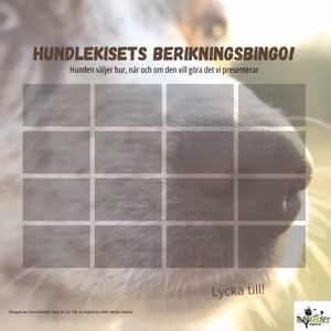 Berikningsbingo - Blandade former