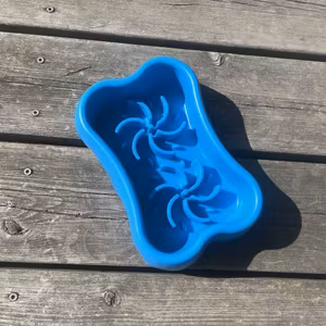 Lickiebowl till hund