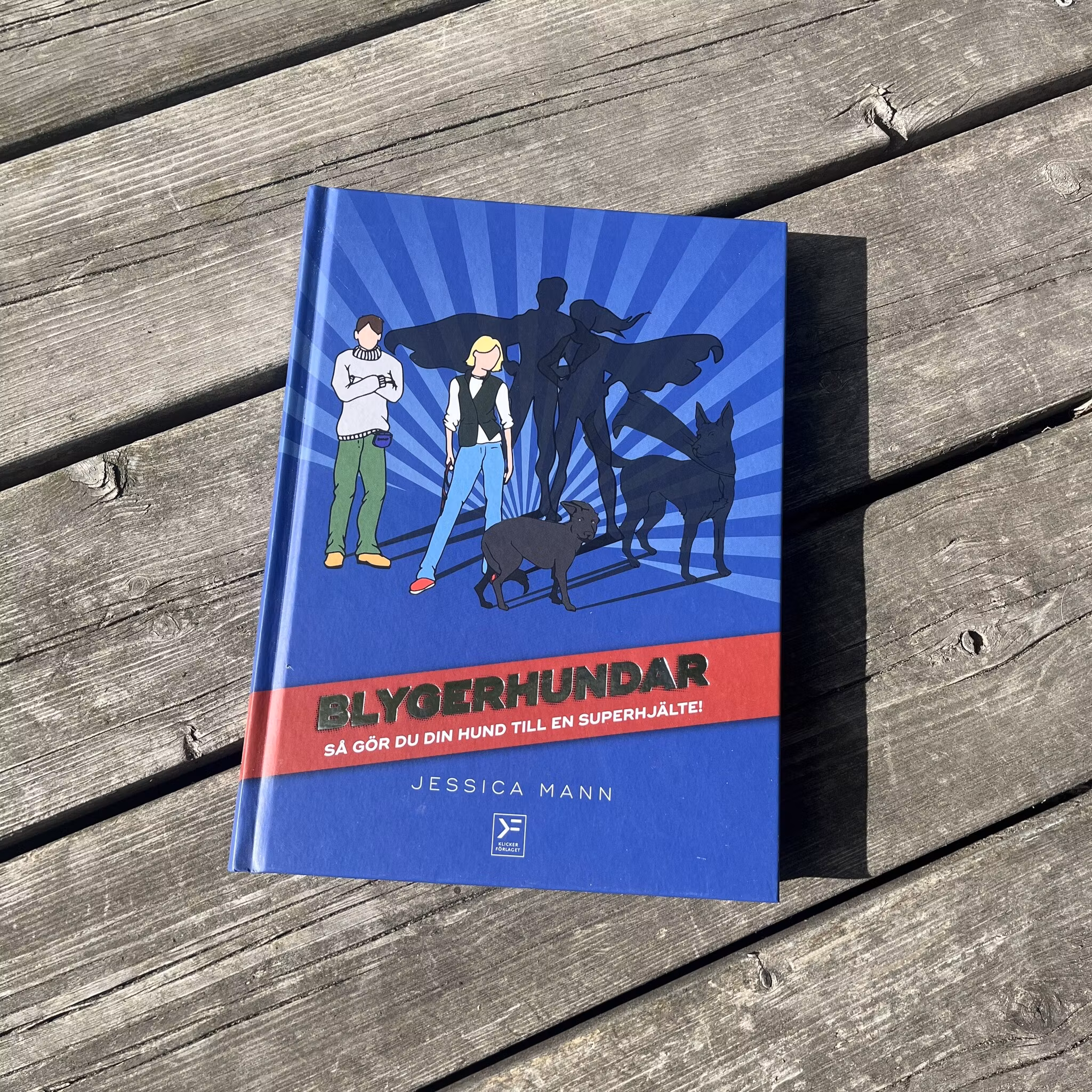 Blygerhundar - så gör du din hund till en superhjält!