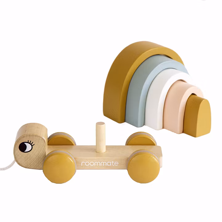 Roommate- Turtle - Pull-along & Stacking Toy/ trälek