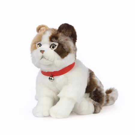 Living nature- Scottish Fold Cat/gosedjur