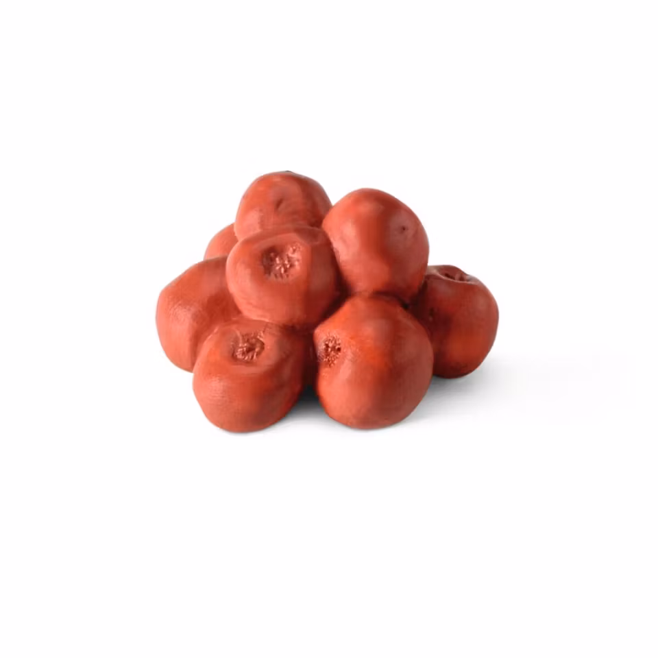 Schleich- Feed set/tillbehör