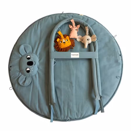 Roommate- Koala/ babygym