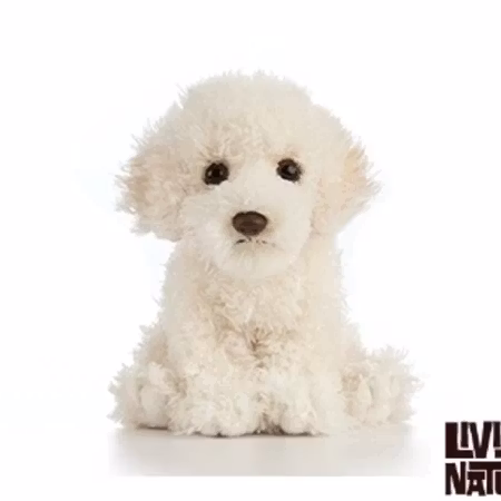 Living Nature- Labradoodle Puppy/gosedjur