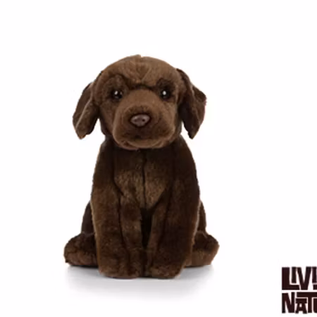 Living Nature- Chocolate Labrador/ gosedjur