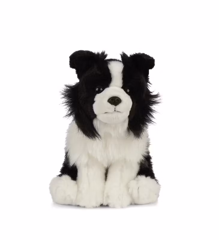 Living Nature- Border Collie / gosedjur