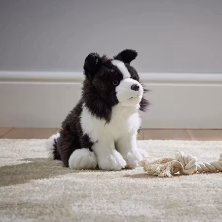 Living Nature- Border Collie / gosedjur