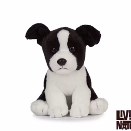 Living Nature- Border Collie Puppy/ gosedjur