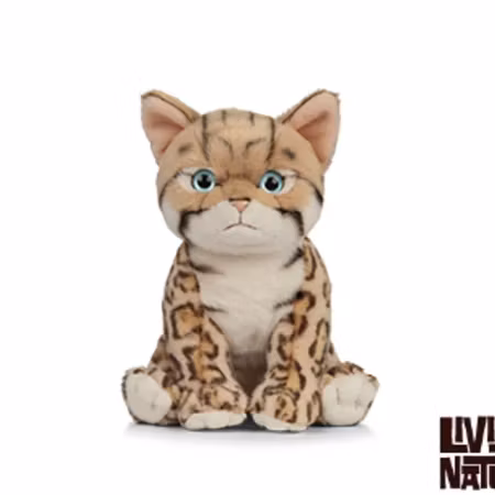 Living nature- Bengal Kitten /gosedjur.