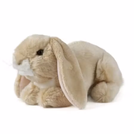 Living nature- Light Brown Lop Eared Rabbit/gosedjur