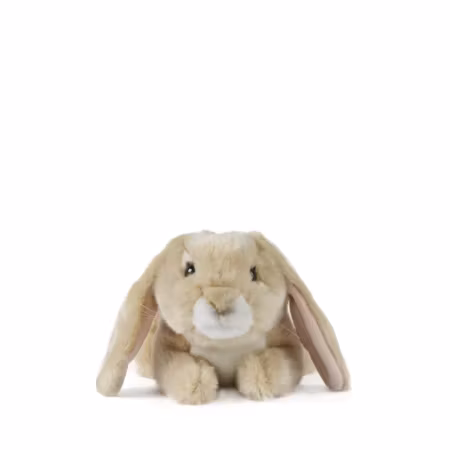 Living nature- Light Brown Lop Eared Rabbit/gosedjur