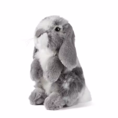 Living nature- Grey Sitting Lop Eared Rabbit/gosedjur