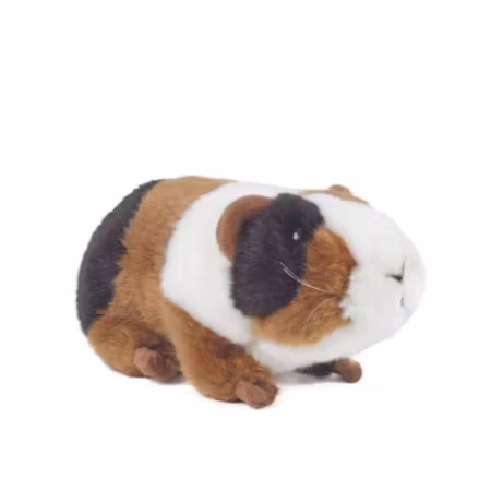 Living nature -Guinea Pig Small /gosedjur