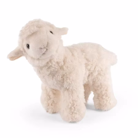 Living nature -Lamb with Sound/gosedjur