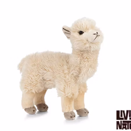 Living nature- Alpaca /gosedjur