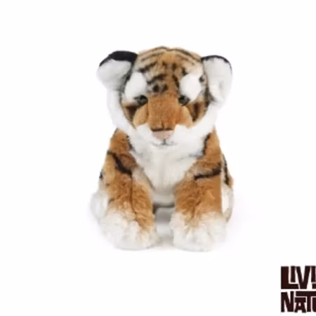 Living nature- Tiger Sitting/ gosedjur