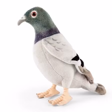 Living nature - Pigeon/gosedjur