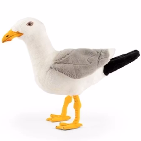 Living nature- Herring Gull/gosedjur