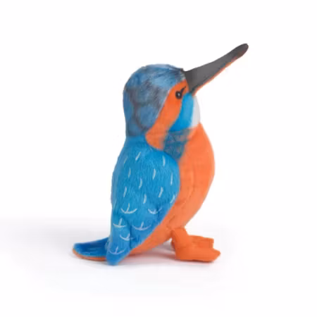 Living nature- Kingfisher /gosedjur