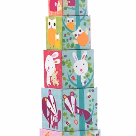 Djeco-  10 Forest Blocks