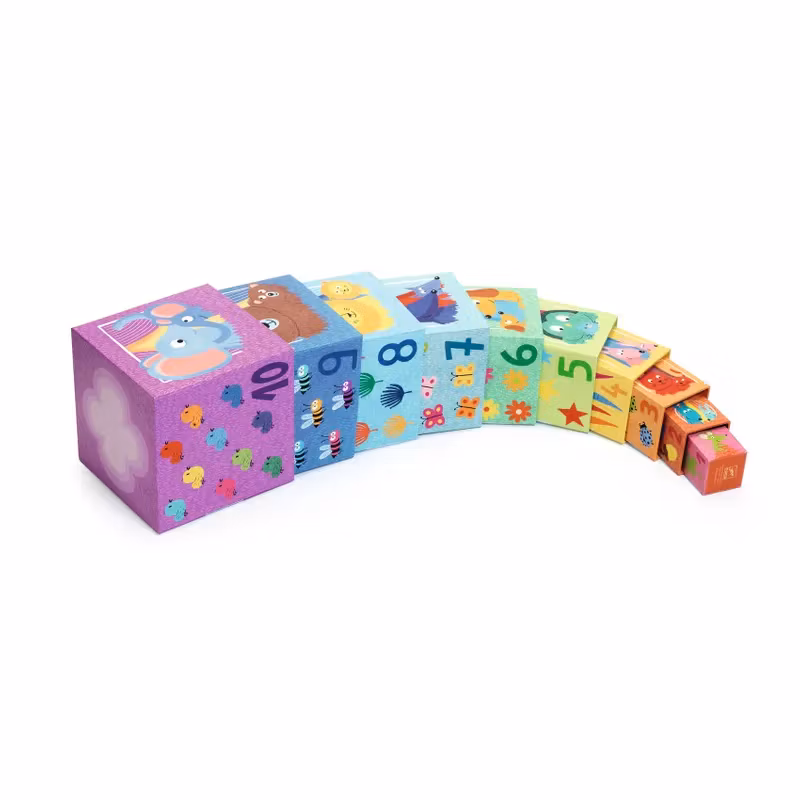 Djeco- 10 Rainbow blocks