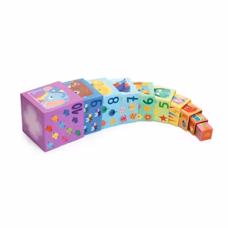 Djeco- 10 Rainbow blocks