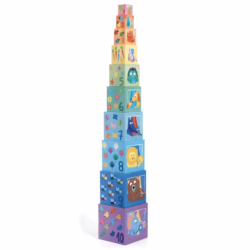 Djeco- 10 Rainbow blocks