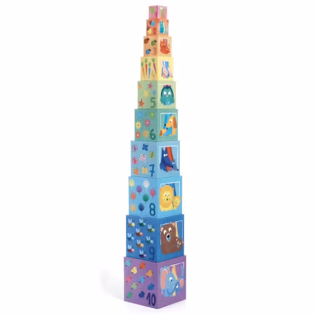 Djeco- 10 Rainbow blocks