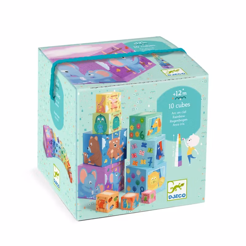 Djeco- 10 Rainbow blocks
