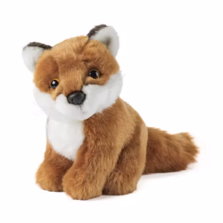 Living nature- Sitting Fox/gosedjur