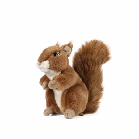 Living nature- Squirrel Large /gosedjur
