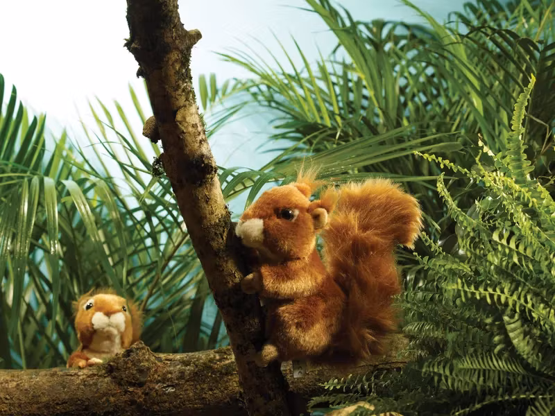 Living nature- Squirrel Large /gosedjur