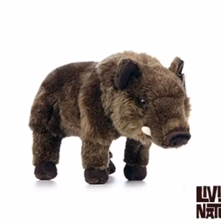 Living nature- Wild Boar /gosedjur