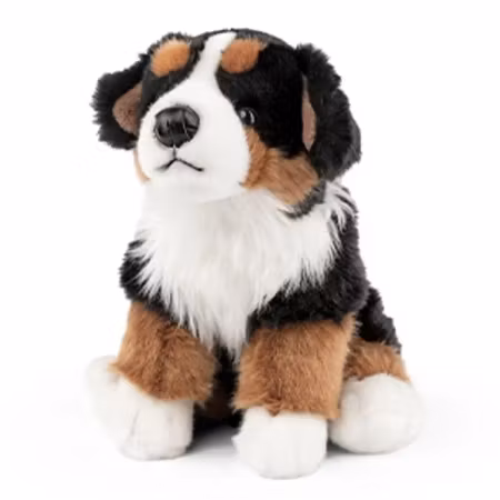 Living Nature- Bernese Mountain Dog/ gosedjur