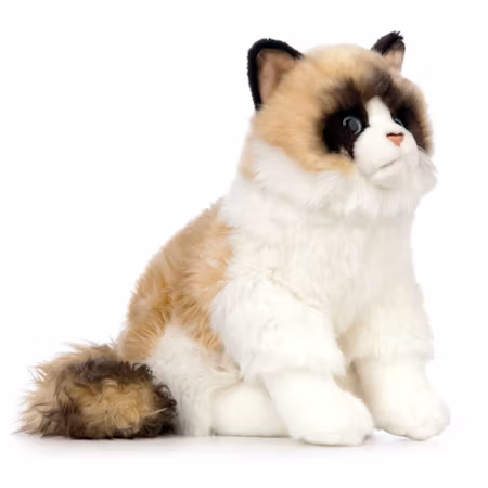 Living nature- Ragdoll Cat/gosedjur