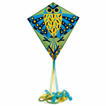Djeco- Kite, Hiboo