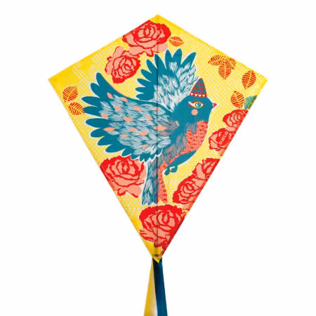 Djeco- Kite, Bird