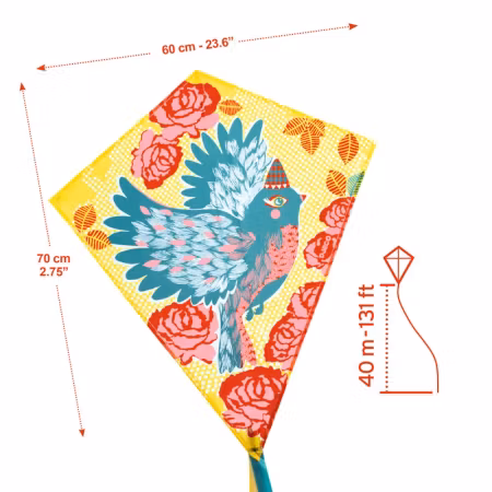 Djeco- Kite, Bird