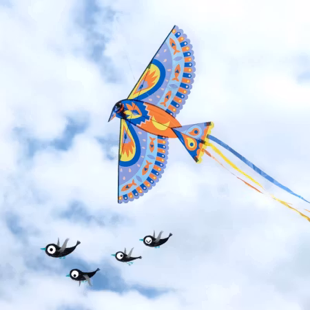 Djeco- Kite: Maxi Bird