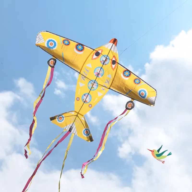 Djeco- Kite: Maxi Plane