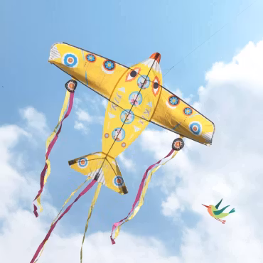 Djeco- Kite: Maxi Plane